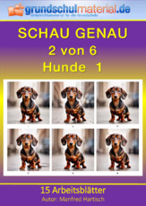 Hunde_1.pdf